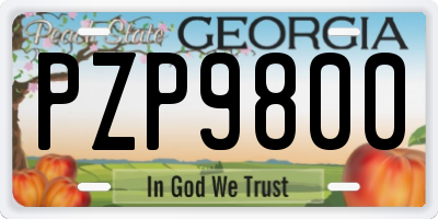 GA license plate PZP9800