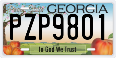 GA license plate PZP9801