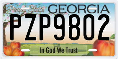 GA license plate PZP9802