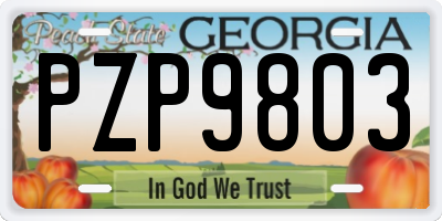 GA license plate PZP9803