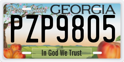GA license plate PZP9805