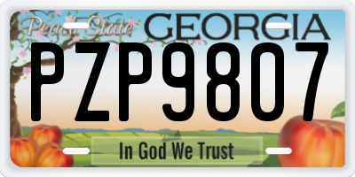 GA license plate PZP9807