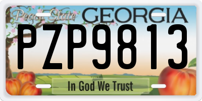 GA license plate PZP9813