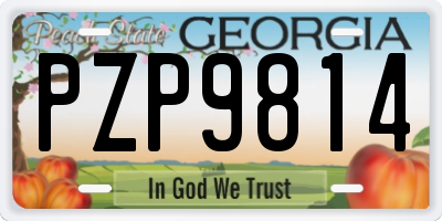 GA license plate PZP9814