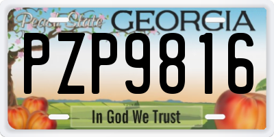 GA license plate PZP9816