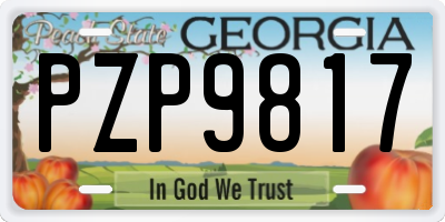 GA license plate PZP9817