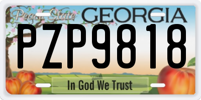 GA license plate PZP9818