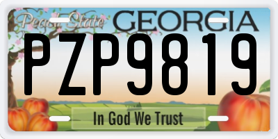 GA license plate PZP9819