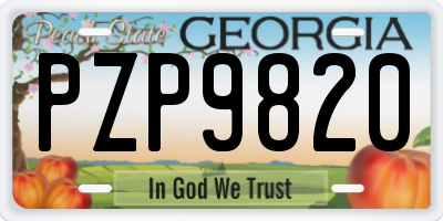 GA license plate PZP9820