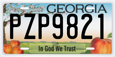 GA license plate PZP9821