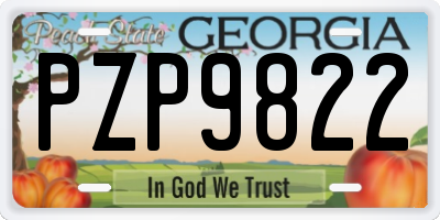 GA license plate PZP9822
