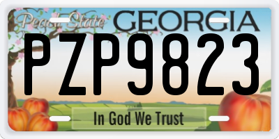 GA license plate PZP9823