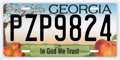 GA license plate PZP9824