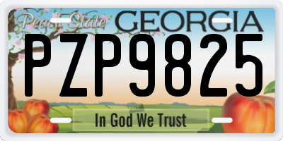 GA license plate PZP9825