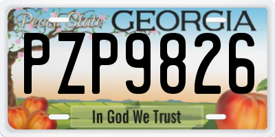 GA license plate PZP9826