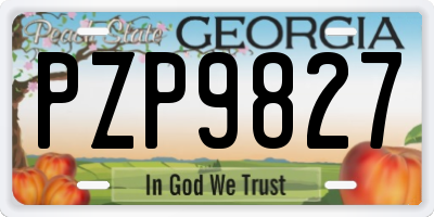 GA license plate PZP9827