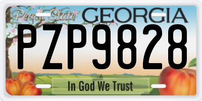 GA license plate PZP9828
