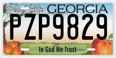 GA license plate PZP9829