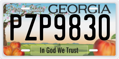 GA license plate PZP9830
