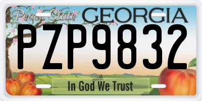 GA license plate PZP9832