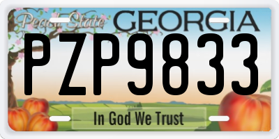 GA license plate PZP9833