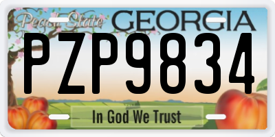 GA license plate PZP9834