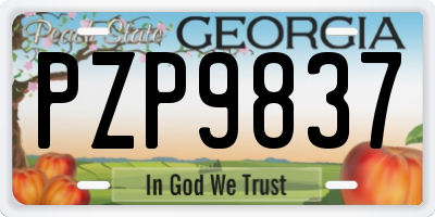 GA license plate PZP9837