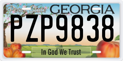 GA license plate PZP9838