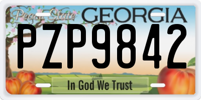 GA license plate PZP9842