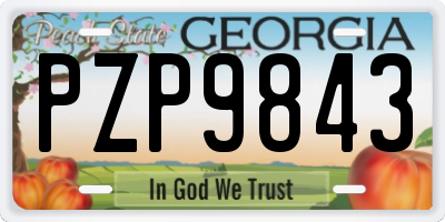 GA license plate PZP9843