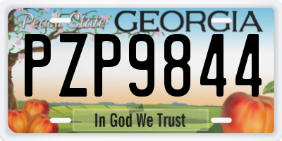 GA license plate PZP9844