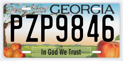 GA license plate PZP9846