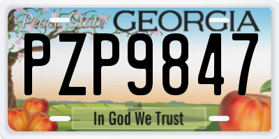 GA license plate PZP9847