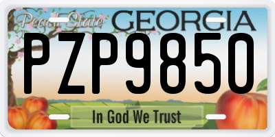 GA license plate PZP9850