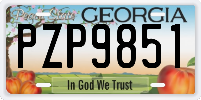 GA license plate PZP9851
