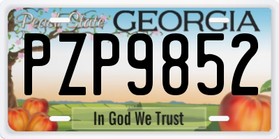 GA license plate PZP9852