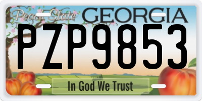 GA license plate PZP9853