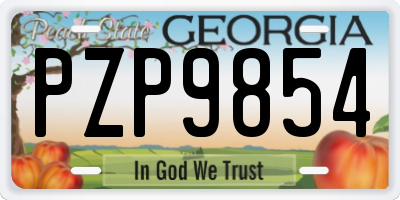 GA license plate PZP9854