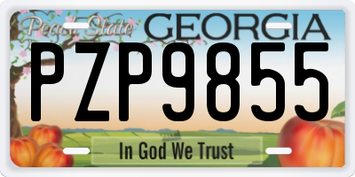 GA license plate PZP9855