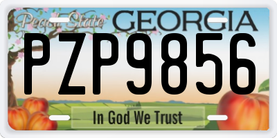 GA license plate PZP9856