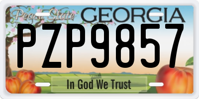 GA license plate PZP9857