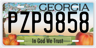 GA license plate PZP9858