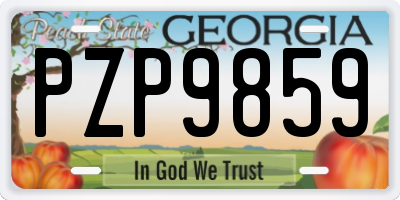 GA license plate PZP9859