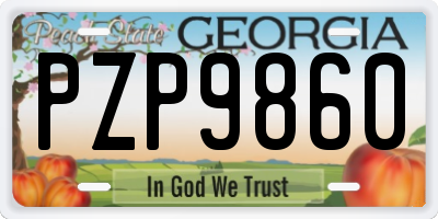 GA license plate PZP9860