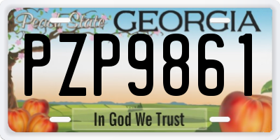 GA license plate PZP9861