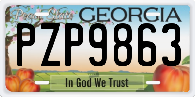 GA license plate PZP9863