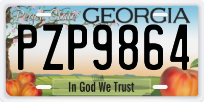 GA license plate PZP9864