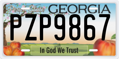 GA license plate PZP9867