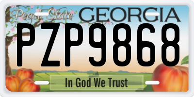 GA license plate PZP9868