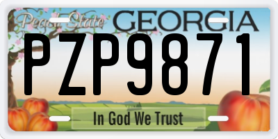 GA license plate PZP9871